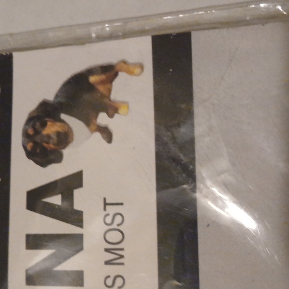 Pet bandana Look but dont touch visual communication Black White Red NWT - Picture 3 of 5